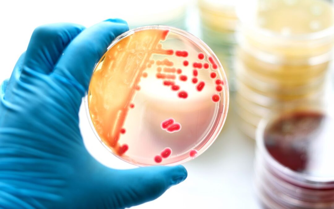 Bakterie i wirusy – Jak uchronić się przed nimi w środowisku medycznym?